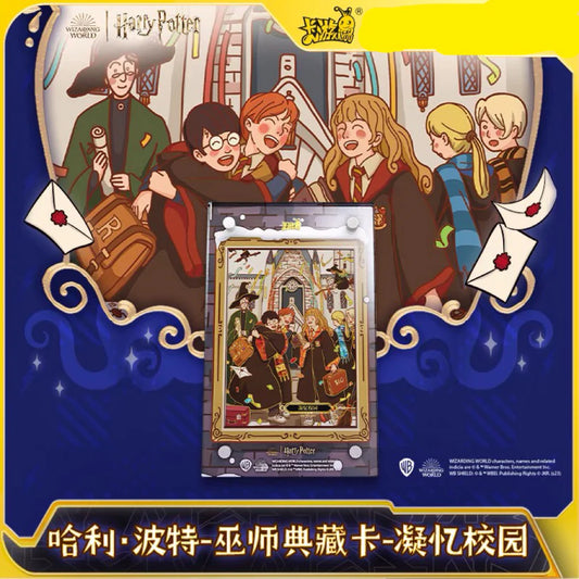 Coffret Carte Museum Harry potter Kayou- Exclusive - CN - Chinois